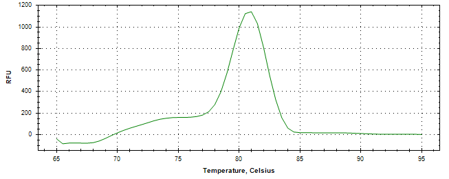 Melt curve analysis of above amplification.