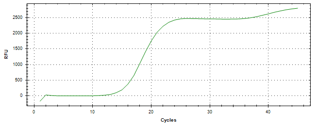 Amplification of cDNA generated from universal RNA.