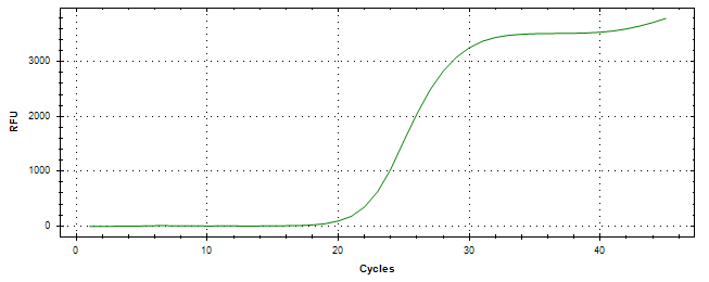 Amplification of cDNA generated from universal RNA.