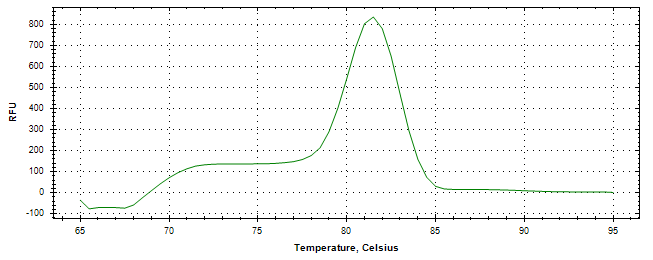 Melt curve analysis of above amplification.