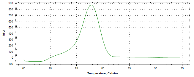 Melt curve analysis of above amplification.