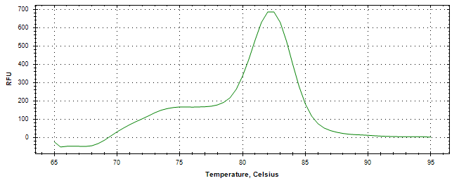 Melt curve analysis of above amplification.