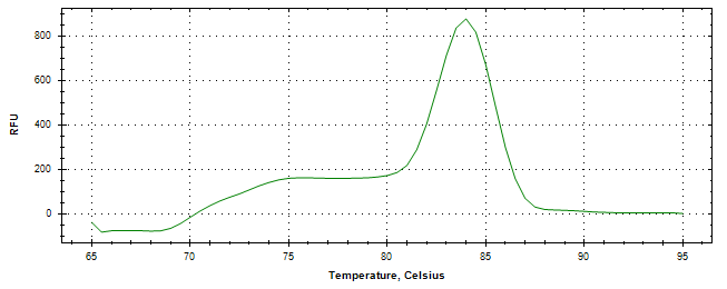 Melt curve analysis of above amplification.