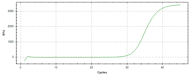 Amplification of cDNA generated from universal RNA.