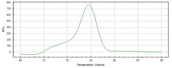 Melt curve analysis of above amplification.