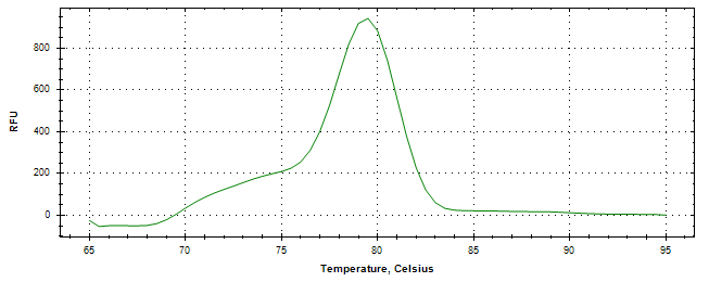 Melt curve analysis of above amplification.