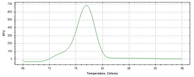 Melt curve analysis of above amplification.