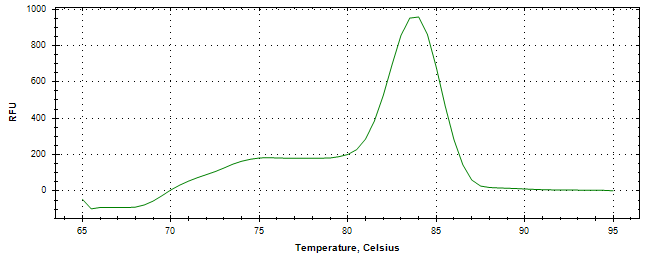 Melt curve analysis of above amplification.