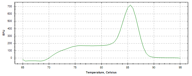 Melt curve analysis of above amplification.