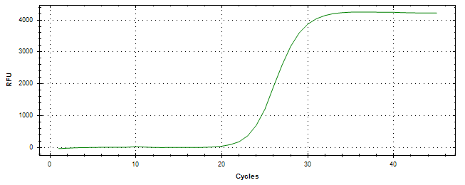 Amplification of cDNA generated from universal RNA.