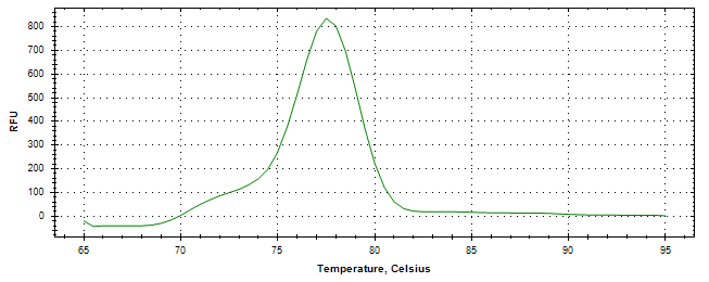 Melt curve analysis of above amplification.