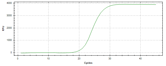 Amplification of cDNA generated from universal RNA.