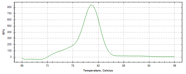 Melt curve analysis of above amplification.