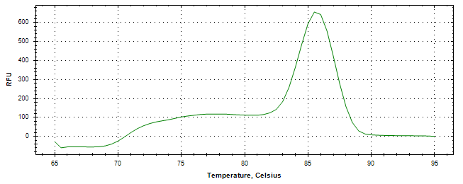 Melt curve analysis of above amplification.