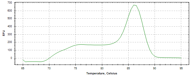 Melt curve analysis of above amplification.