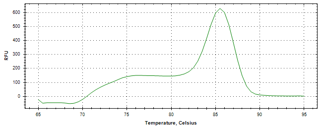 Melt curve analysis of above amplification.