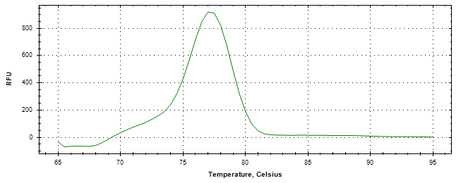 Melt curve analysis of above amplification.