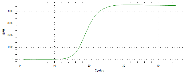 Amplification of cDNA generated from universal RNA.