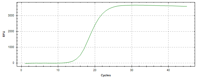 Amplification of cDNA generated from universal RNA.