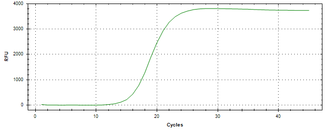 Amplification of cDNA generated from universal RNA.