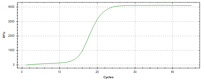 Amplification of cDNA generated from universal RNA.