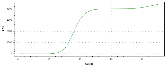 Amplification of cDNA generated from universal RNA.