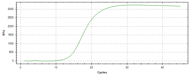 Amplification of cDNA generated from universal RNA.