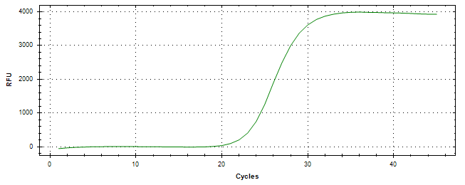 Amplification of cDNA generated from universal RNA.