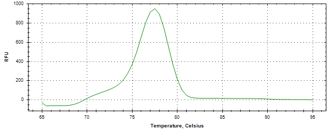 Melt curve analysis of above amplification.