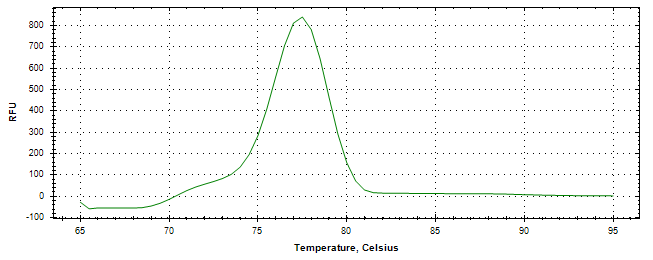 Melt curve analysis of above amplification.