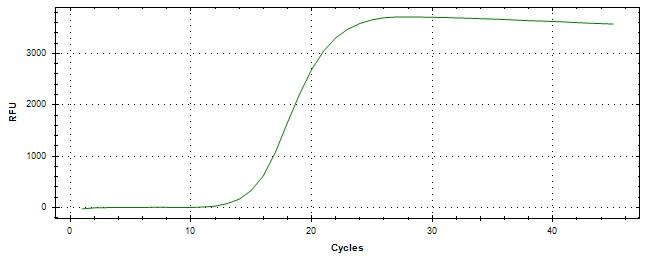 Amplification of cDNA generated from universal RNA.