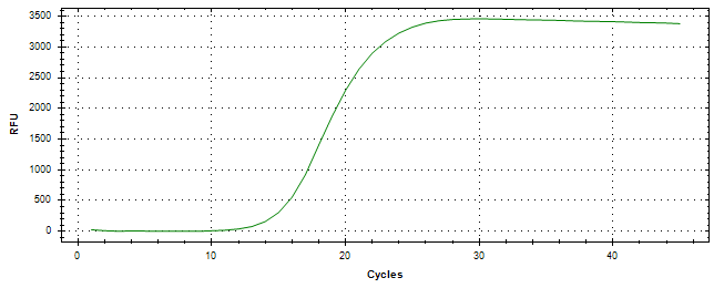 Amplification of cDNA generated from universal RNA.