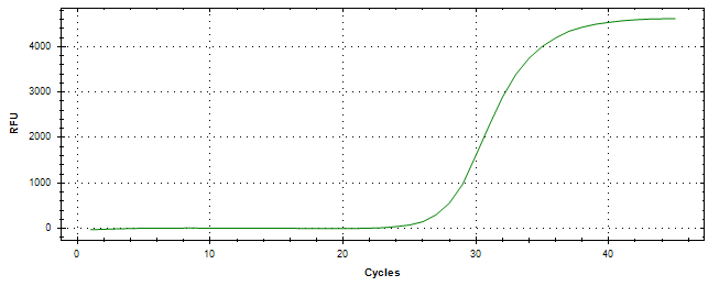 Amplification of cDNA generated from universal RNA.