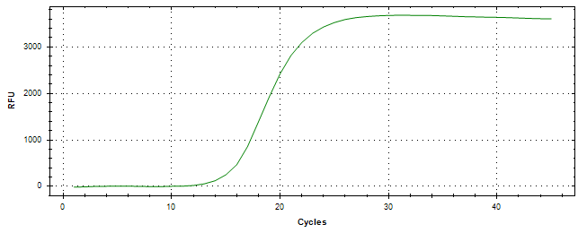 Amplification of cDNA generated from universal RNA.