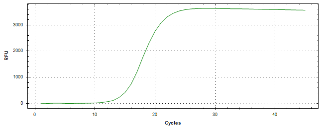 Amplification of cDNA generated from universal RNA.