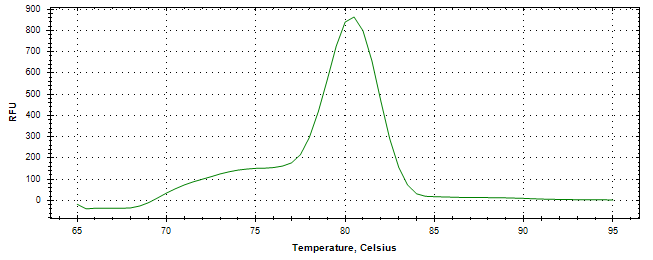 Melt curve analysis of above amplification.