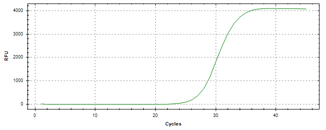 Amplification of cDNA generated from universal RNA.