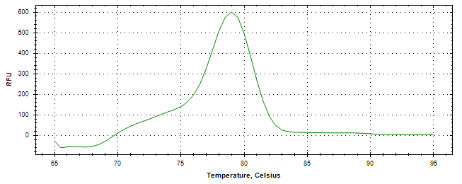 Melt curve analysis of above amplification.