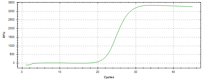 Amplification of cDNA generated from universal RNA.