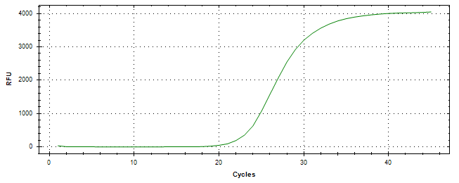 Amplification of cDNA generated from universal RNA.