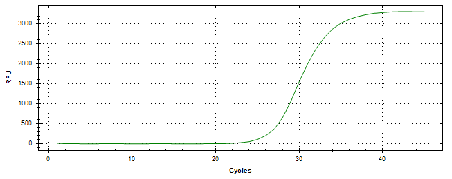 Amplification of cDNA generated from universal RNA.