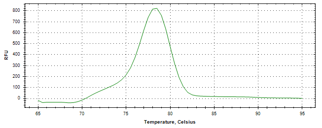 Melt curve analysis of above amplification.