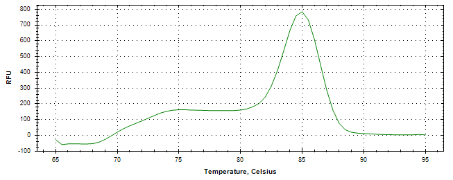Melt curve analysis of above amplification.