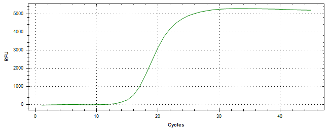 Amplification of cDNA generated from universal RNA.