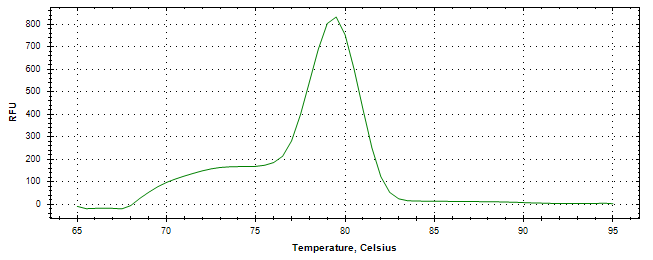 Melt curve analysis of above amplification.