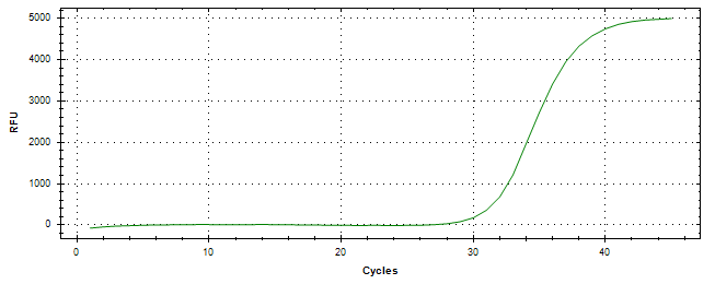 Amplification of cDNA generated from universal RNA.