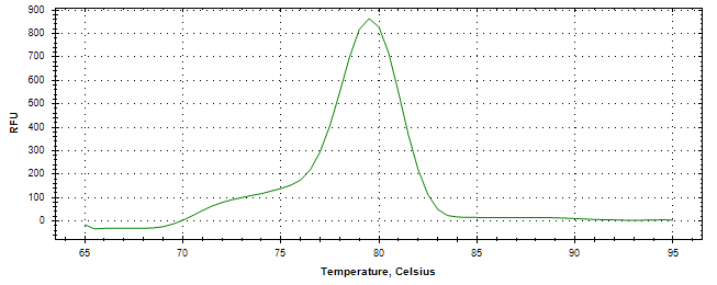 Melt curve analysis of above amplification.