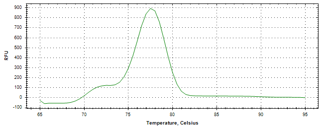 Melt curve analysis of above amplification.