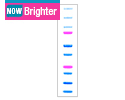 Precision Plus Protein Dual Color Standards