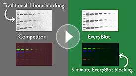 competitor-everyblot-5 minute everyblot blocking